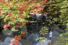 [제주소식] 수산 유아동네숲터 보완사업 추진