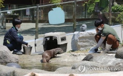 동물 건강상태 확인하는 사육사