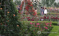장미정원