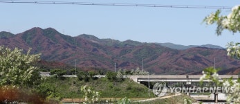 아까시꽃 너머의 산불 상흔