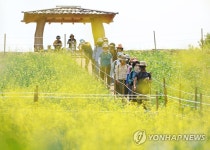 봄 나들이 즐기는 시민들