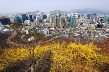 [걷고 싶은 길] 서울을 품 안 가득히…한양도성 길 남산 구간