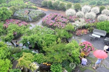 비 내리는 제주