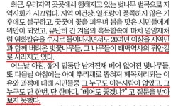 어느 날 갑자기 베어진 벚나무 벌목 논란…태백시민 안타깝다