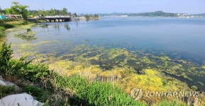 강릉의 얼굴인데…오염되는 경포호