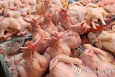 [특징주] 말레이 닭고기 수출중단에 육계 관련주 연이틀 고공행진