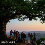 [여행honey] 떠나는 봄을 부여잡고 부여 가볼까?