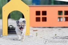 충남지사 후보들 잇단 반려동물 공약으로 펫심 공략