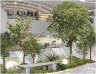 [천안소식] 갤러리아 센터시티점 힐링 스페이스 조성