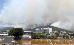 바람 타고 불씨 날아다녀…바짝 마른 밀양 산불3단계 비상(종합)