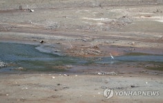 운문댐 저수율 25%…드러난 바닥