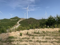 산림청, 장마철 대비 풍력·태양광 허가지 재해예방 현장점검