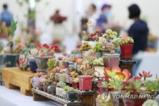 풀 내음 꽃향기 가득