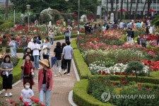곡성 장미축제장의 인파