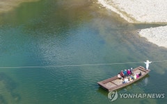 원시 하천 송천 환경가치 재조명…정선군, 생태계 조사