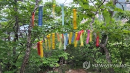 등산로에 달린 리본