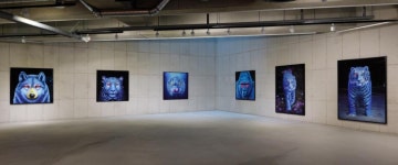 멸종위기 동물들의 슬픈 초상화…고상우 디지털회화 개인전