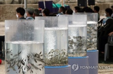 희망의바다만들기-수산종자방류행사