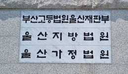 신생아 떨어뜨려 숨지게 한 산후도우미 항소심서 징역 3년→4년