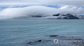 부산 해안가 해무 장관