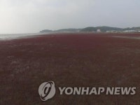 안산시, 대부도 갯벌 습지보호지역센터 건립 확대 추진