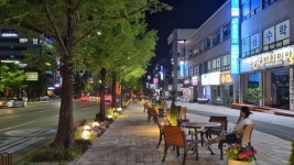 낮에는 수목, 밤에는 경관조명 예쁜 강릉 일루미아 정원