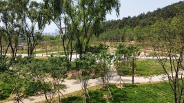 대구 두류공원 서편에 2만4천여 ㎡ 규모 도시숲 조성