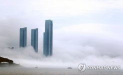 부산 해안가 해무 장관