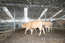 무더위 속 축사