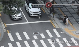 횡단보도 앞 일시정지 의무 강화…새 도로교통법 모레부터 시행