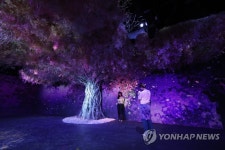 시간의 조각:계절 미디어아트 전시