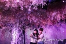 사계절을 담은 미디어아트 전시
