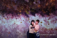 사계절을 담은 미디어아트 전시