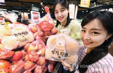 좋은숨홈플러스반여점 | 홈플러스, 고물가에 '모양 못났지만 맛 좋은' 농산물 할인 판매