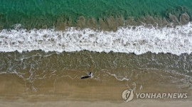 여름 바다로 오세요…부산관광공사 여름관광 캠페인