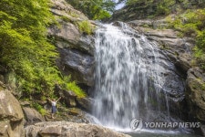 무더위 날리는 수락폭포 물줄기