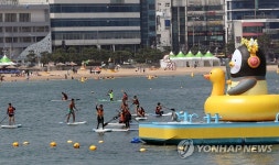 해양스포츠로 더위 잊어요