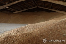 우크라 러 오데사 공격에도 곡물창고는 무사…수출준비 계속