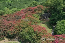 붉게 물들어가는 명옥헌 원림