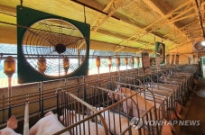 온종일 돌아가는 축사의 대형 선풍기