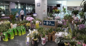 원 구성 협상 타결 뒤 축하 난으로 가득한 의원회관