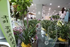 원 구성 협상 타결 뒤 축하 난으로 가득한 의원회관