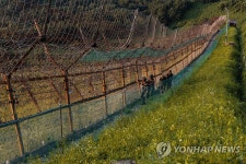 정전협정일 앞둔 비무장지대