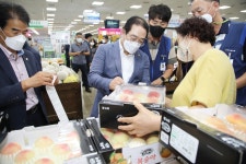 달고 아삭한 복숭아 충북 옥천·영동 판촉 경쟁