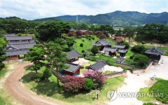 남계서원에 핀 배롱나무 꽃