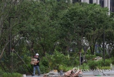 숲과 그늘이 풍부해질 광화문광장