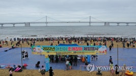 Photo des résultats de recherche Naver 6