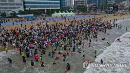 조개 찾아 삼매경