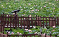 연꽃 핀 양산호수공원