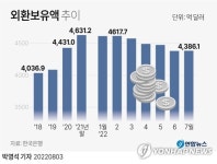 7월말 외환보유액 4천386억달러…5개월 만에 증가